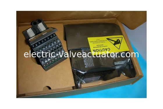 Bom preço. CE4050E1C0 Sistema DCS Emerson DeltaV com Placa Inferior de 8 Larguras em linha